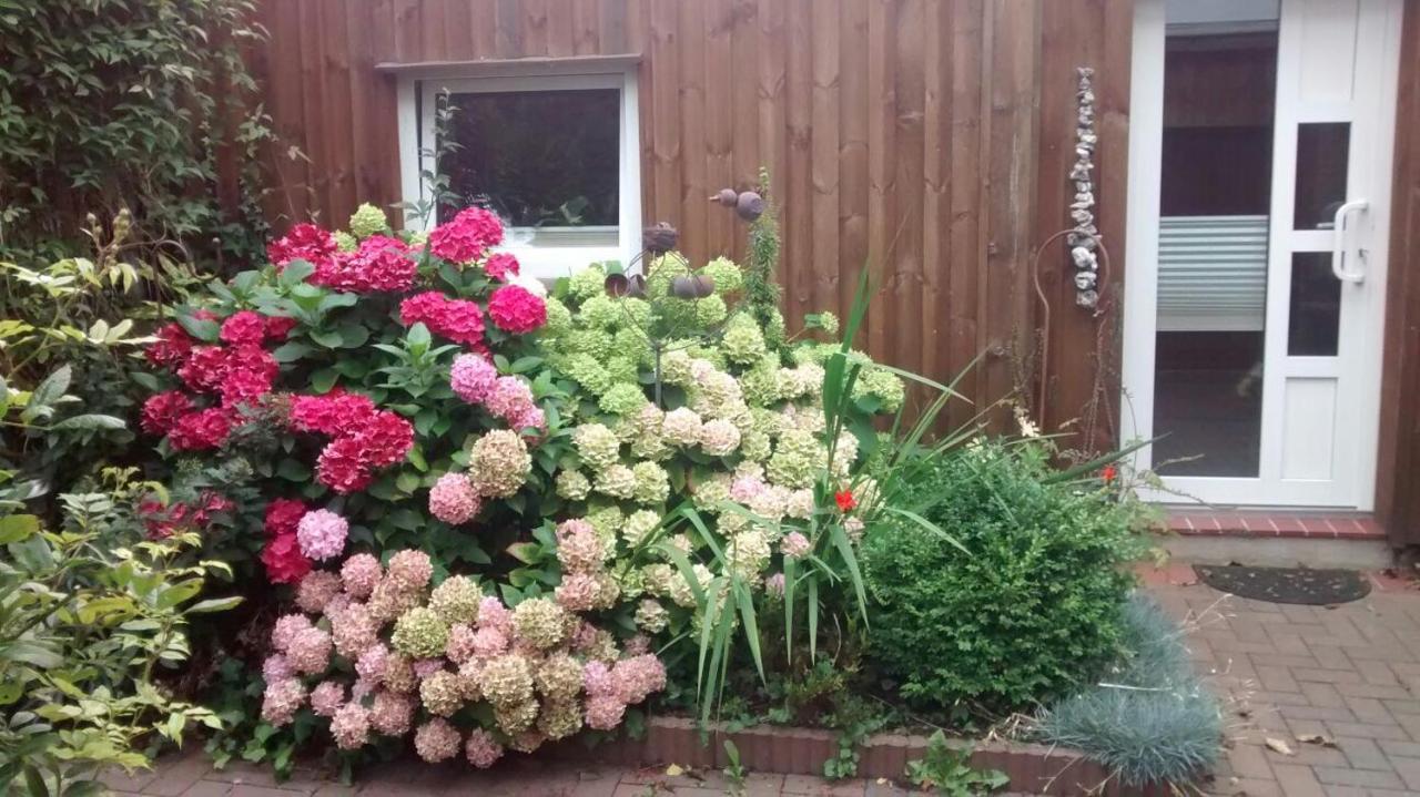 1 Raum Appartement Mit Kuechenzeile In Kappeln Exterior photo